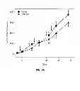 Fig. 17 - Materials and method for inhibiting replication protein A and uses thereof