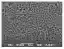 Fig. 01 - LITHIUM ION SECONDARY BATTERY INCLUDING IONIC LIQUID ELECTROLYTE