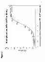 Fig. 07 - Anti-HPV E7 antibodies