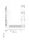 Fig. 08 - Anti-HPV E7 antibodies