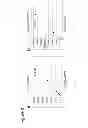 Fig. 09 - Fluorescence-based assay for the rapid detection and quantification of deoxyribonucleoside triphosphates
