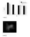 Fig. 06 - METHODS AND USES INVOLVING GENETIC ABNORMALITIES AT CHROMOSOME 12