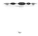 Fig. 02 - Method to amplify nucleic acids to generate fluorescence labeled fragments of conserved and arbitrary products