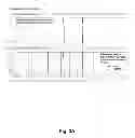 Fig. 03 - Method to amplify nucleic acids to generate fluorescence labeled fragments of conserved and arbitrary products