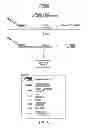 Fig. 08 - Tagged oligonucleotides and their use in nucleic acid amplification methods