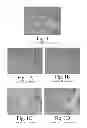 Fig. 02 - BIOLOGICAL FIXATIVE AND METHOD OF USING THE BIOLOGICAL FIXATIVE
