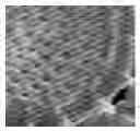 Fig. 01 - MATERIALS AND METHODS FOR PRODUCING CELL-SURFACE DIRECTED AND ASSOCIATED NON-NATURALLY OCCURRING BIOINORGANIC MEMBRANCES AND USES THEREOF