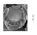 Fig. 02 - MATERIALS AND METHODS FOR PRODUCING CELL-SURFACE DIRECTED AND ASSOCIATED NON-NATURALLY OCCURRING BIOINORGANIC MEMBRANCES AND USES THEREOF