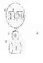 Fig. 09 - Method and system for tracking and analyzing data obtained using a light based positioning system