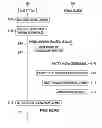 Fig. 01 - Base station, mobile station, paging message transmitting method, and paging message receiving method