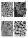 Fig. 02 - Stabilized aggregates of small crystallites of zeolite Y