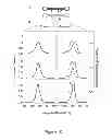 Fig. 11 - CLASSIFICATION OF NUCLEIC ACID TEMPLATES