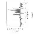 Fig. 13 - CLASSIFICATION OF NUCLEIC ACID TEMPLATES