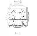 Fig. 14 - CLASSIFICATION OF NUCLEIC ACID TEMPLATES