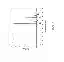 Fig. 19 - CLASSIFICATION OF NUCLEIC ACID TEMPLATES