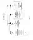 Fig. 05 - Clinical application utilizing genetic data for effective medication management