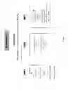 Fig. 06 - Clinical application utilizing genetic data for effective medication management