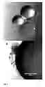 Fig. 02 - Templated islet cells and small islet cell clusters for diabetes treatment