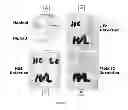 Fig. 02 - Methods of synthesizing heteromultimeric polypeptides in yeast using a haploid mating strategy