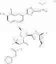 Fig. 02 - HCV COMBINATION THERAPY