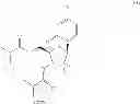 Fig. 08 - HCV COMBINATION THERAPY