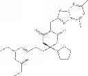 Fig. 28 - HCV COMBINATION THERAPY