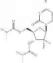 Fig. 41 - HCV COMBINATION THERAPY