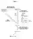 Fig. 02 - Polypeptides that bound to IL-23 receptor and inhibit binding of IL-23 and cell signaling thereof
