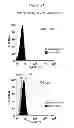Fig. 22 - Polypeptides that bound to IL-23 receptor and inhibit binding of IL-23 and cell signaling thereof