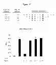 Fig. 41 - Polypeptides that bound to IL-23 receptor and inhibit binding of IL-23 and cell signaling thereof
