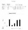Fig. 43 - Polypeptides that bound to IL-23 receptor and inhibit binding of IL-23 and cell signaling thereof