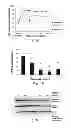 Fig. 02 - Methods and compositions for the treatment of proliferative vascular disorders