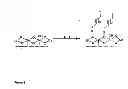 Fig. 02 - Bone implant