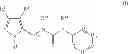 Fig. 02 - Substituted Heteroaromatic Pyrazole-Containing Carboxamide and Urea Compounds as Vanilloid Receptor Ligands