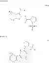 Fig. 09 - TETRAHYDROBENZOTHIOPHENE COMPOUND