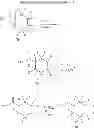 Fig. 24 - Deuterated pyrazinoisoquinoline compounds