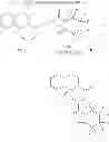 Fig. 29 - Deuterated pyrazinoisoquinoline compounds