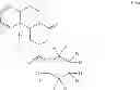 Fig. 31 - Deuterated pyrazinoisoquinoline compounds
