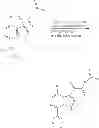 Fig. 131 - PHARMACEUTICAL FORMULATIONS OF SUBSTITUTED AZAINDOLEOXOACETIC PIPERAZINE DERIVATIVES WITH PROTEASE INHIBITORS