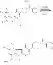 Fig. 67 - PHARMACEUTICAL FORMULATIONS OF SUBSTITUTED AZAINDOLEOXOACETIC PIPERAZINE DERIVATIVES WITH PROTEASE INHIBITORS
