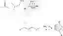 Fig. 786 - PHARMACEUTICAL FORMULATIONS OF SUBSTITUTED AZAINDOLEOXOACETIC PIPERAZINE DERIVATIVES WITH PROTEASE INHIBITORS