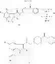 Fig. 79 - PHARMACEUTICAL FORMULATIONS OF SUBSTITUTED AZAINDOLEOXOACETIC PIPERAZINE DERIVATIVES WITH PROTEASE INHIBITORS