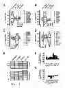Fig. 06 - Obesity Small Molecules