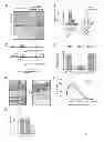 Fig. 09 - Obesity Small Molecules