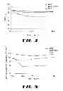 Fig. 05 - NOVEL NIDDM REGIMEN