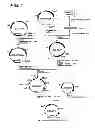 Fig. 02 - BIOMASS-RESOURCE-DERIVED POLYESTER AND PRODUCTION PROCESS THEREOF
