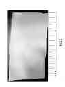 Fig. 03 - Crosslinked human or animal tissue products and their methods of manufacture and use