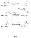 Fig. 35 - Compositions containing, methods involving, and uses of non-natural amino acids and polypeptides