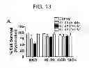 Fig. 14 - Process for the preparation of small molecule inhibitors of MDM2 and intermediates used therein