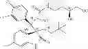 Fig. 173 - Process for the preparation of small molecule inhibitors of MDM2 and intermediates used therein